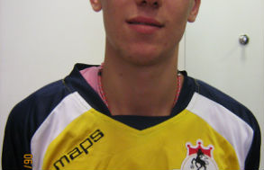 2013 (1)